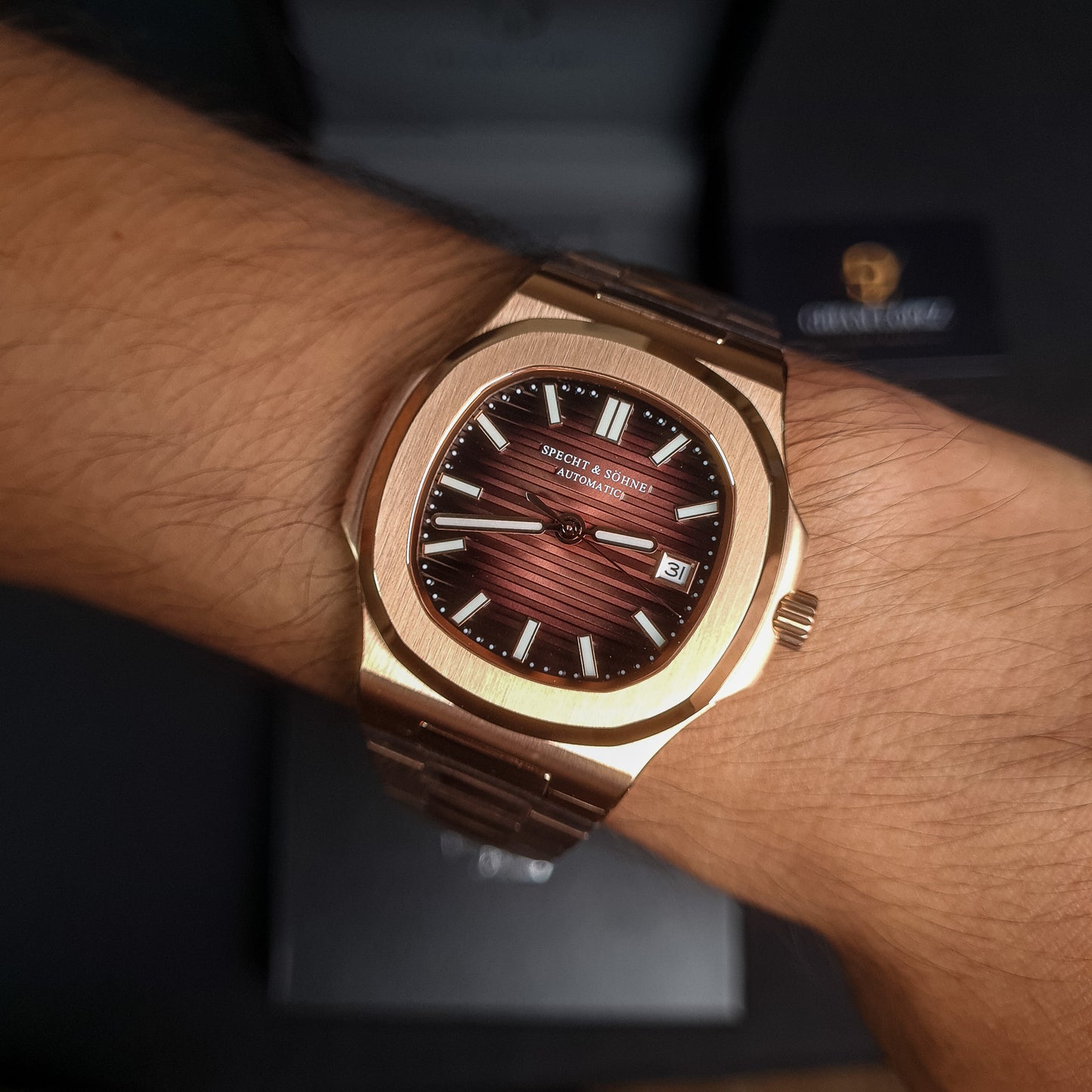 SPECHT AND SOHNE Nautilus Automático | SP0002